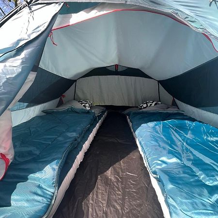 The Esn Kingsday Campsite アムステルダム エクステリア 写真