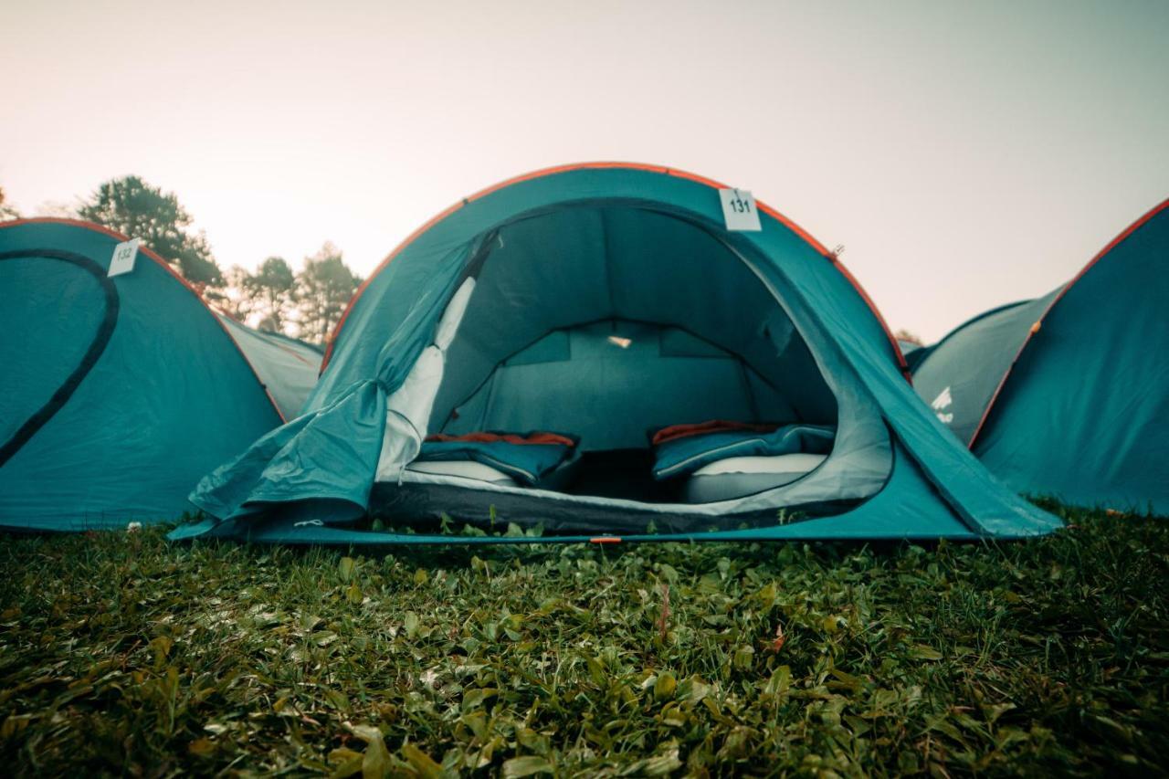 The Esn Kingsday Campsite アムステルダム エクステリア 写真